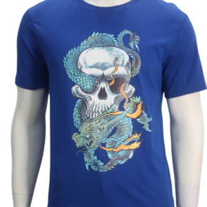 Dragon Skull
